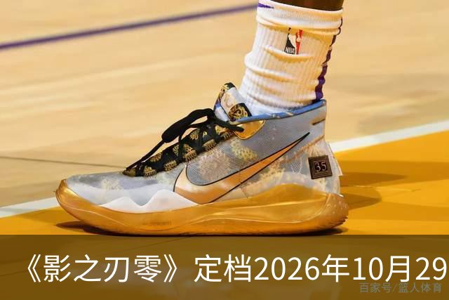 《影之刃零》定档2026年10月29日，145GB容量公开