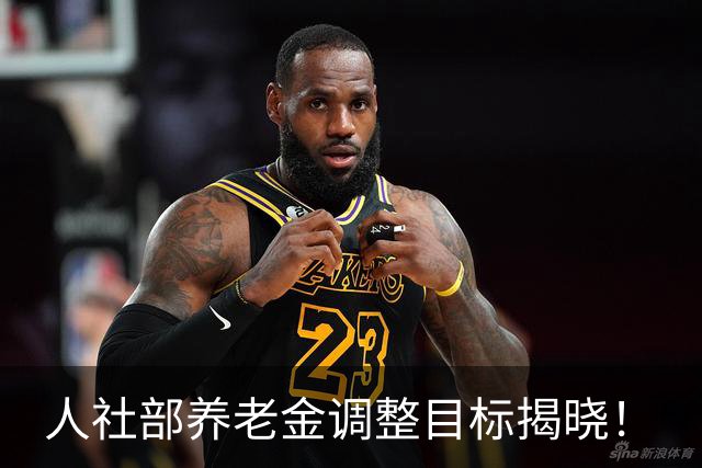 人社部养老金调整目标揭晓！