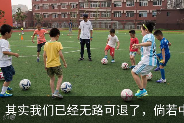 其实我们已经无路可退了，倘若中国再度落后，西方断然不会给我们重新崛起的机会
