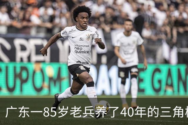 广东一85岁老兵养了40年的三角梅“火了”，开成“浪漫花屋”，网友：看哭了