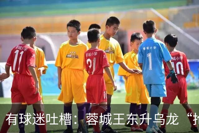 有球迷吐槽：蓉城王东升乌龙“抢点”甚至比莱昂纳多还准