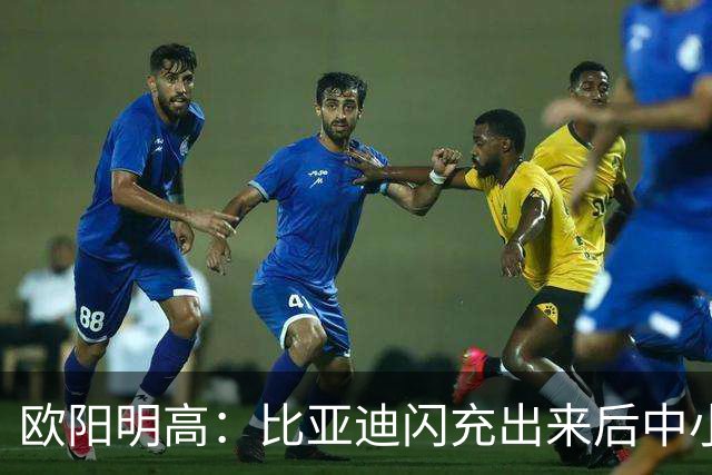 欧阳明高：比亚迪闪充出来后中小厂家、电池厂很焦虑 因为闪充投资太大