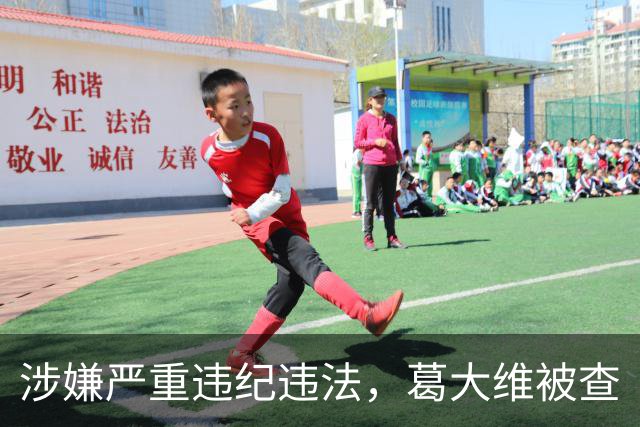 涉嫌严重违纪违法，葛大维被查