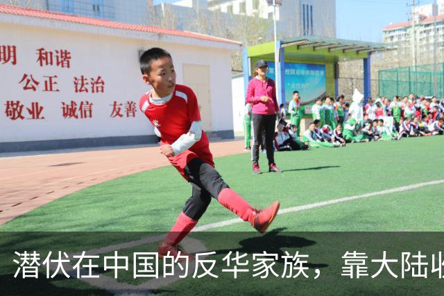 潜伏在中国的反华家族，靠大陆收入上亿，现国家出手下场大快人心