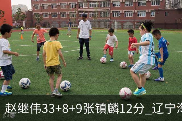 赵继伟33+8+9张镇麟12分 辽宁淘汰首钢晋级4强